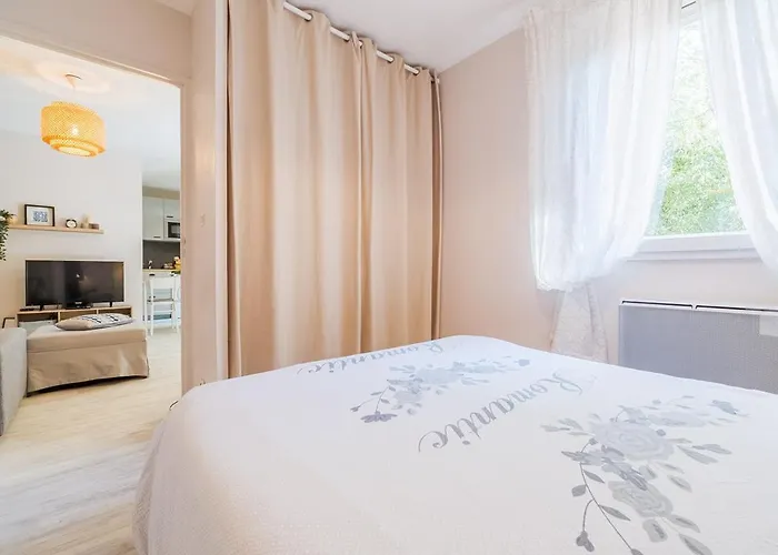 Appartamento Les Capitouls - Avec Entrée Autonome, Clim Neuve, Jardin, Parking Privé&sa Piscine ! - Tolosa