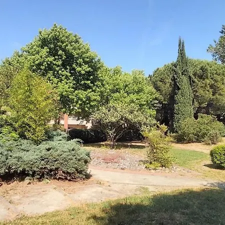 Les Capitouls - Avec Entree Autonome, Clim Neuve, Jardin, Parking Prive & Sa Piscine ! - * Тулуза
