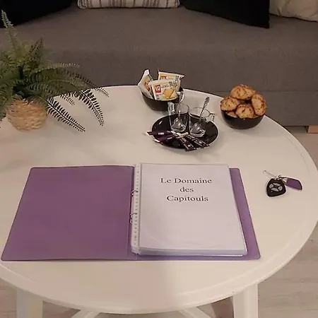 Les Capitouls - Avec Entree Autonome, Clim Neuve, Jardin, Parking Prive & Sa Piscine ! - Daire