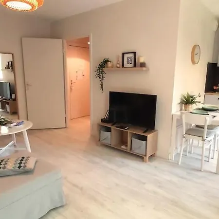 Les Capitouls - Avec Entree Autonome, Clim Neuve, Jardin, Parking Prive & Sa Piscine ! - *