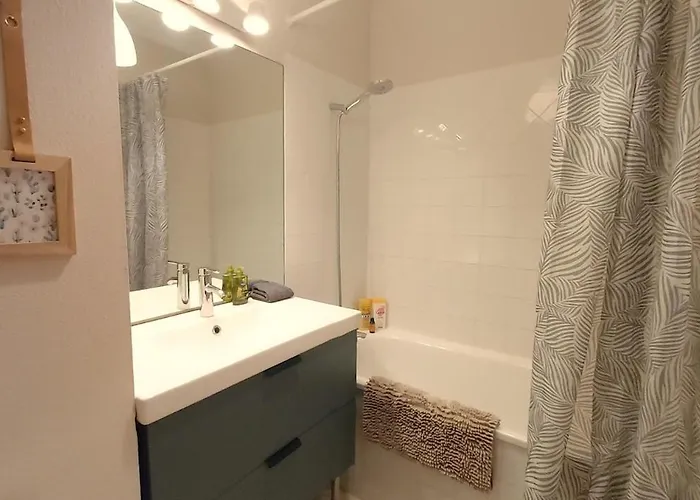 Les Capitouls - Avec Entree Autonome, Clim Neuve, Jardin, Parking Prive & Sa Piscine ! -