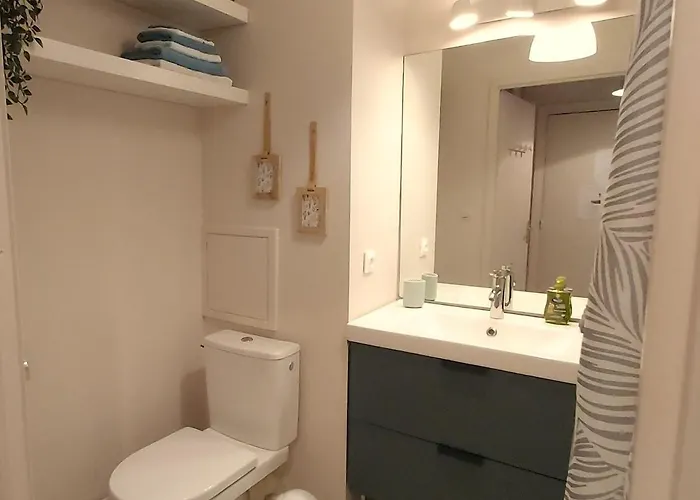 Les Capitouls - Avec Entree Autonome, Clim Neuve, Jardin, Parking Prive & Sa Piscine ! - Apartment *