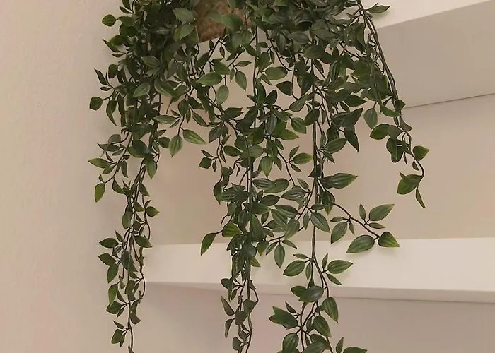 Les Capitouls - avec entrée autonome, clim neuve, jardin, parking privé&sa piscine ! - Appartement Toulouse