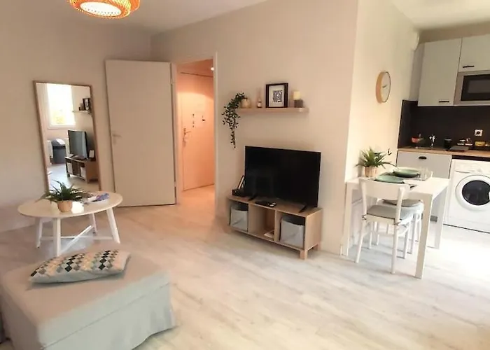 Les Capitouls - Avec Entree Autonome, Clim Neuve, Jardin, Parking Prive & Sa Piscine ! - *