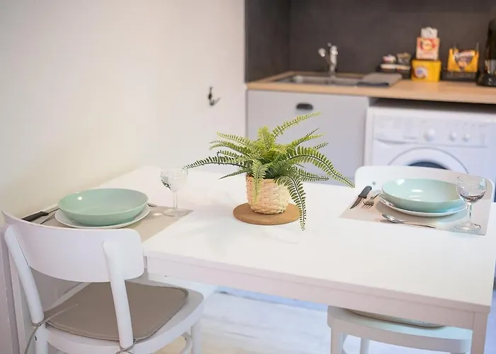 Les Capitouls - Entree Autonome, Clim Neuve, Jardin, Parking Prive - 公寓 *