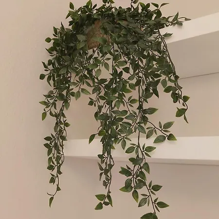 Les Capitouls - Avec Entree Autonome, Clim Neuve, Jardin, Parking Prive & Sa Piscine ! - 公寓 圖盧茲